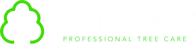 Treescape North